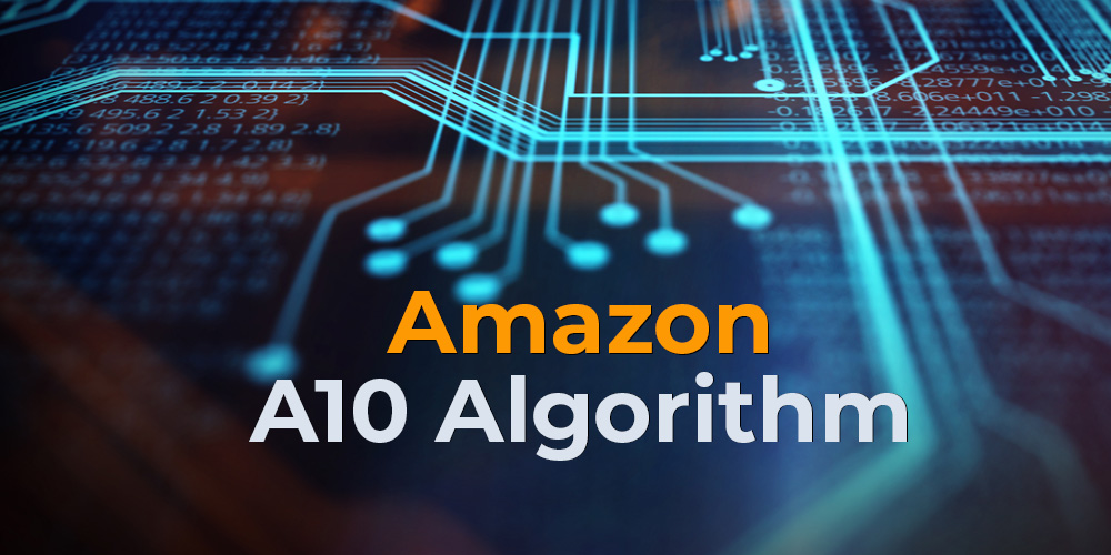 Cracking the Code: Maximizing Amazon's Algorithm with Customer Feedback